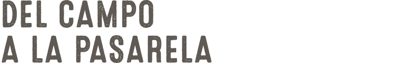 DEL CAMPO A LA PASARELA