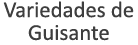 Variedades de Guisante