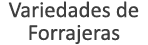 Variedades de Forrajeras