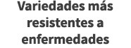 Variedades m s resistentes a enfermedades