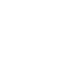 Proporcionar variedades adaptadas a diversos usos: Comida (pan, galletas, boller a, etc.), Alimentaci n animal, Produ...