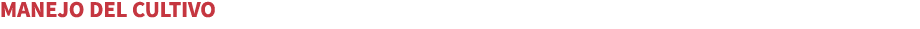 MANEJO DEL CULTIVO
