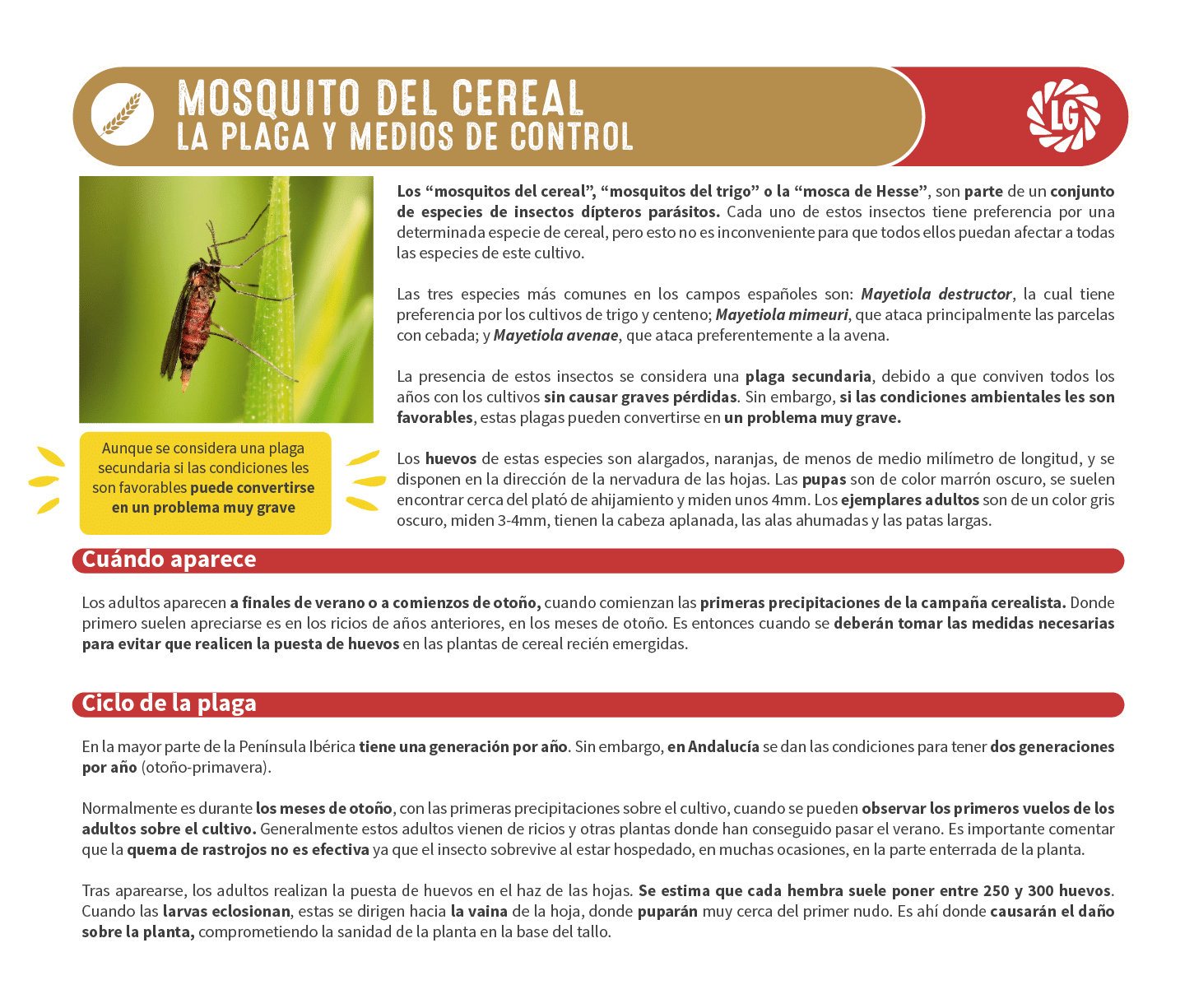 Informaci n til sobre el aspectos t cnicos relacionados con el Cereal.