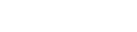 LG Allegro (N)