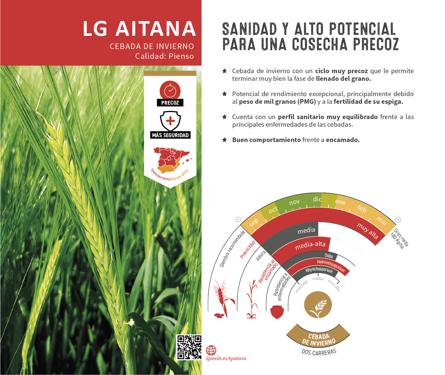 La variedades de cereal,cebada y triticale mejor adaptadas a las condicionoes agro climaticas de espa a.