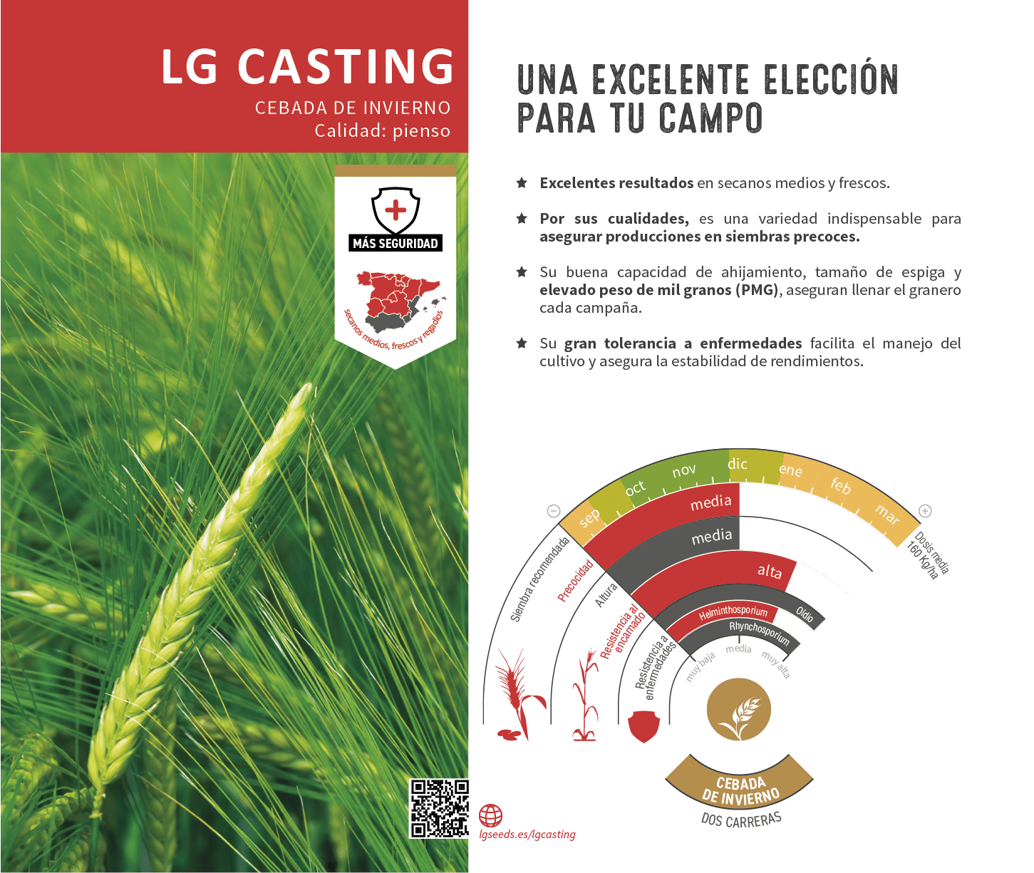 La variedades de cereal,cebada y triticale mejor adaptadas a las condicionoes agro climaticas de espa a.