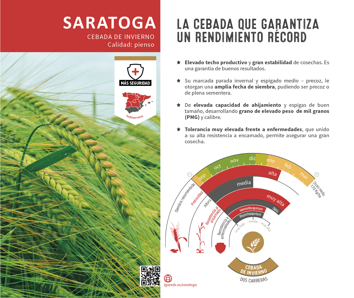 La variedades de cereal,cebada y triticale mejor adaptadas a las condicionoes agro climaticas de espa a.