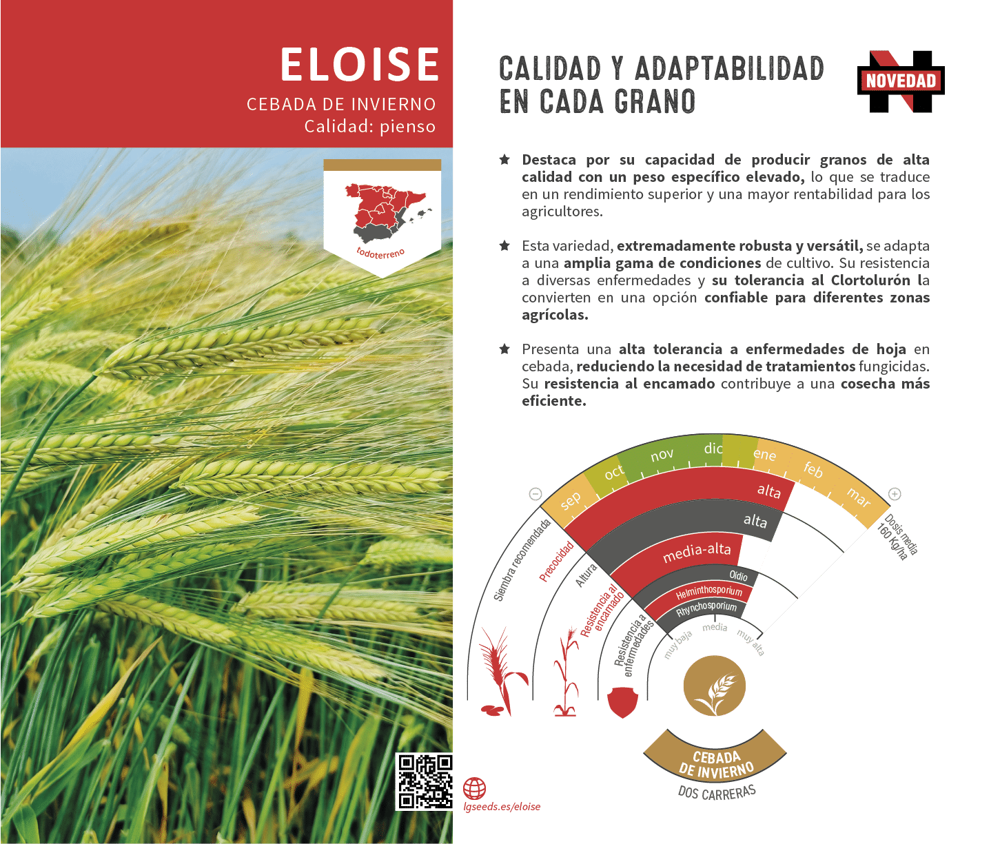 La variedades de cereal,cebada y triticale mejor adaptadas a las condicionoes agro climaticas de espa a.