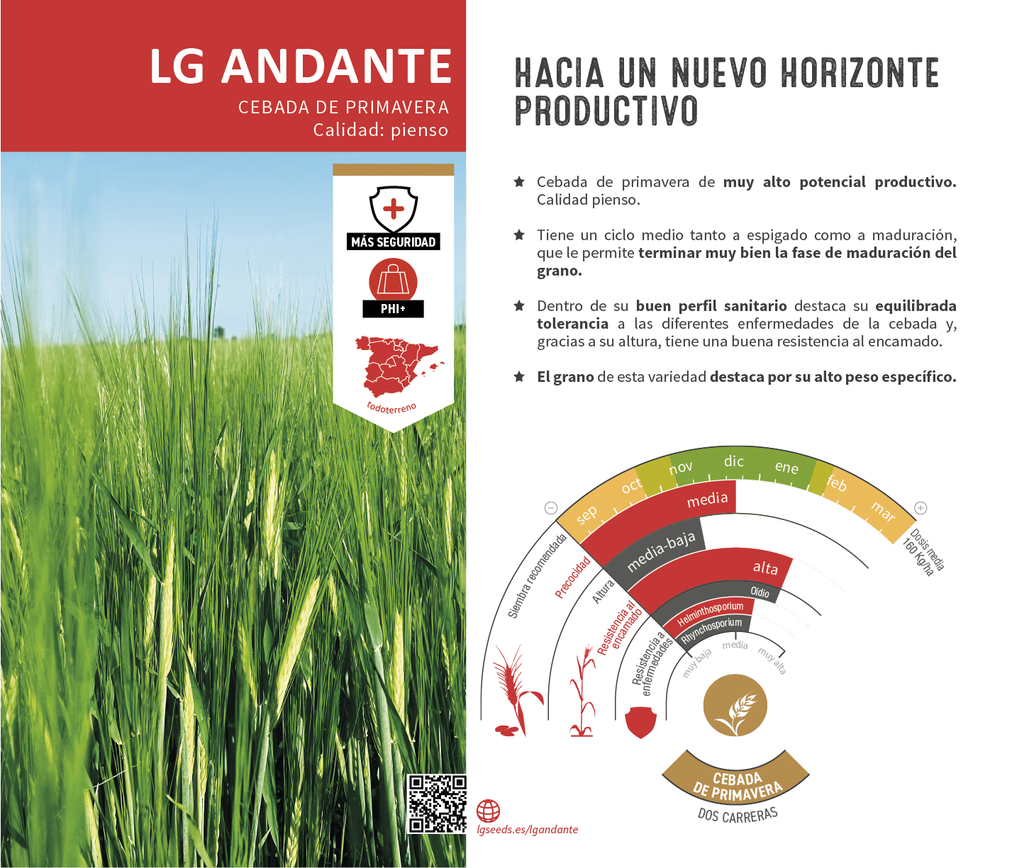 La variedades de cereal,cebada y triticale mejor adaptadas a las condicionoes agro climaticas de espa a.