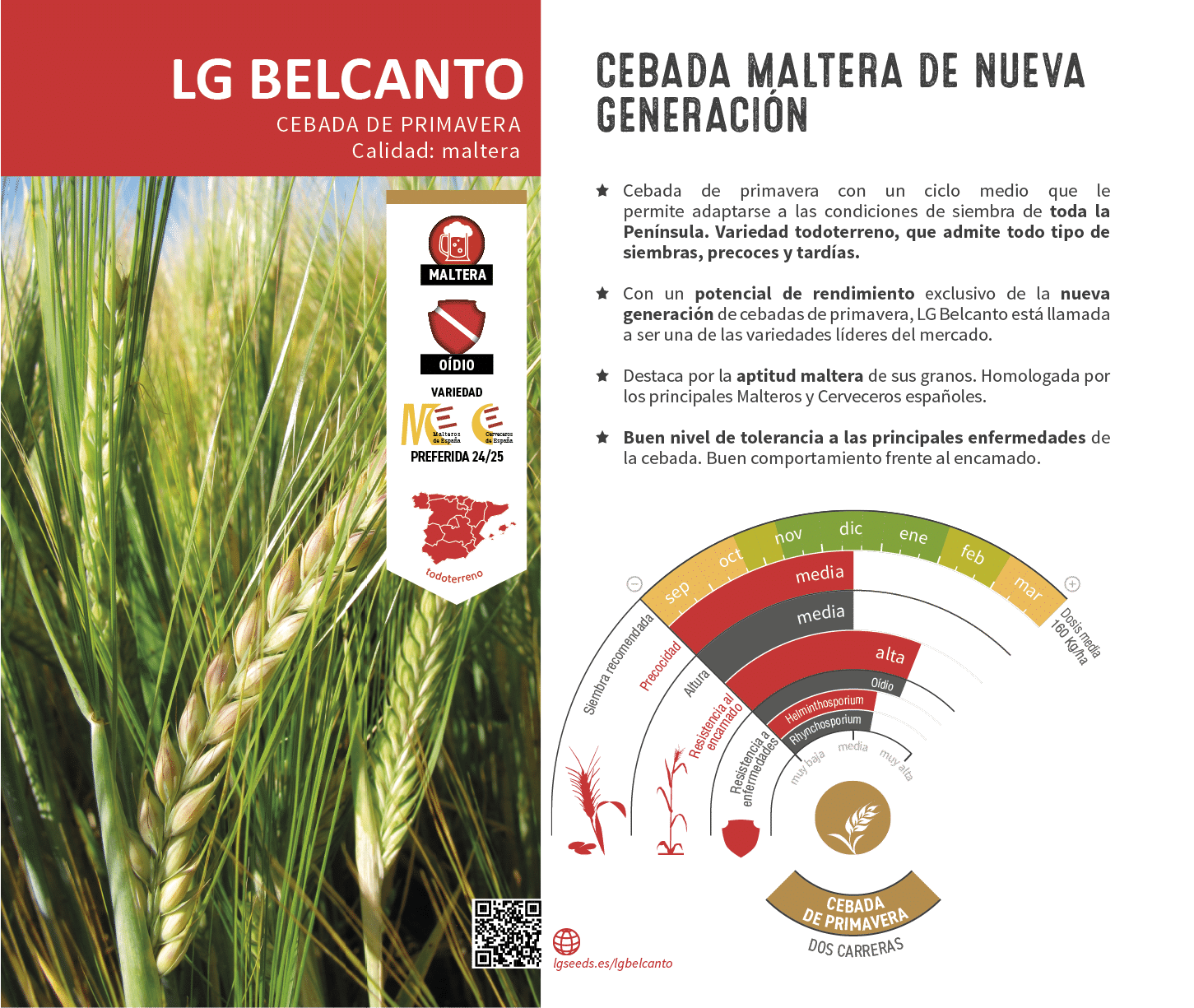 La variedades de cereal,cebada y triticale mejor adaptadas a las condicionoes agro climaticas de espa a.