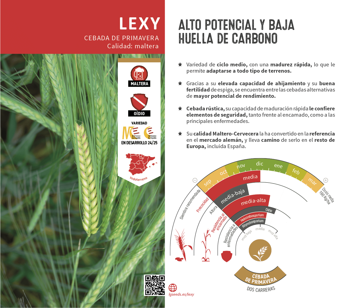 La variedades de cereal,cebada y triticale mejor adaptadas a las condicionoes agro climaticas de espa a.