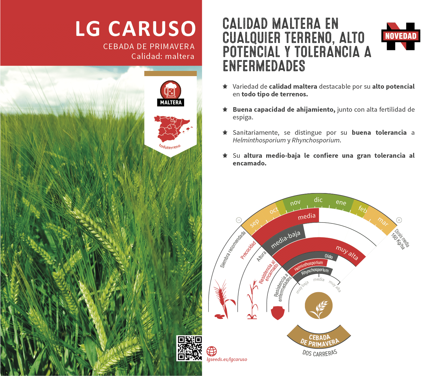 La variedades de cereal,cebada y triticale mejor adaptadas a las condicionoes agro climaticas de espa a.