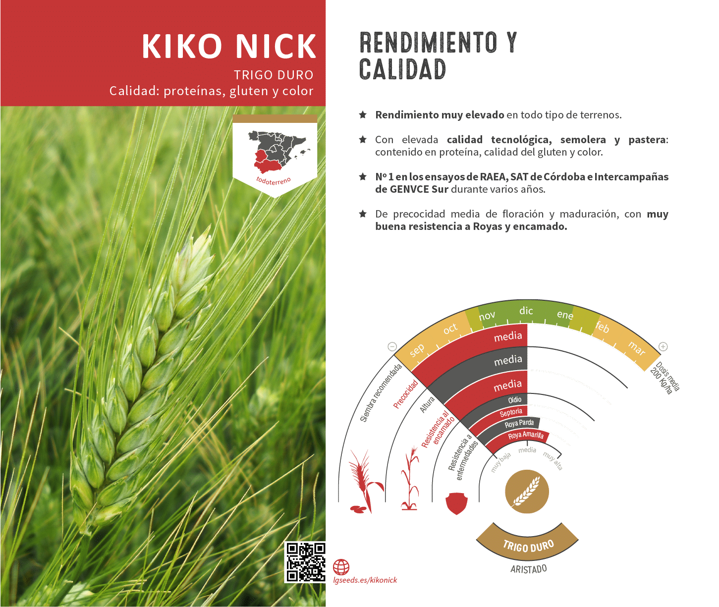 La variedades de cereal,cebada y triticale mejor adaptadas a las condicionoes agro climaticas de espa a.