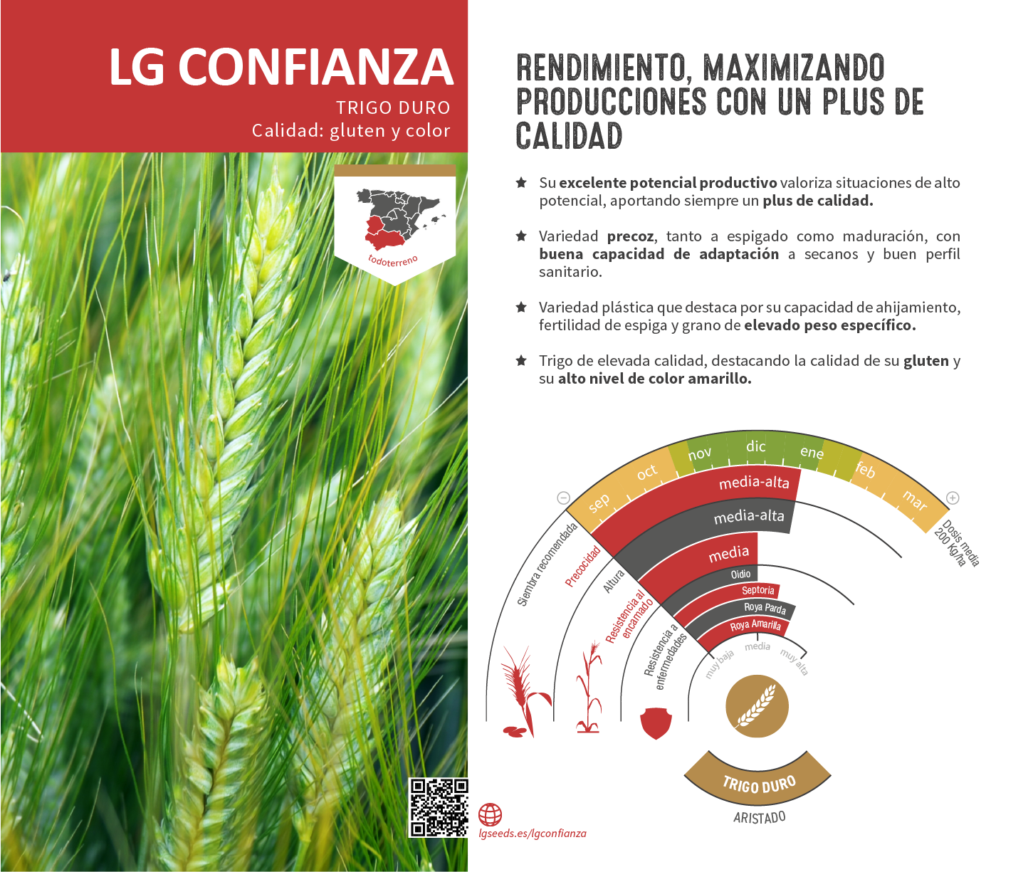 La variedades de cereal,cebada y triticale mejor adaptadas a las condicionoes agro climaticas de espa a.