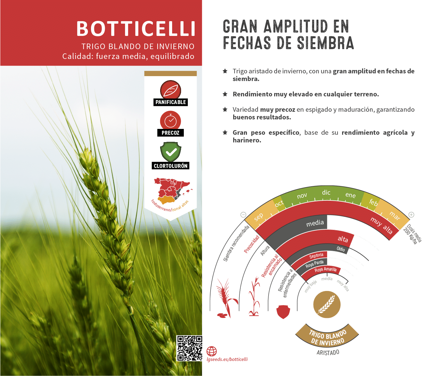 La variedades de cereal,cebada y triticale mejor adaptadas a las condicionoes agro climaticas de espa a.