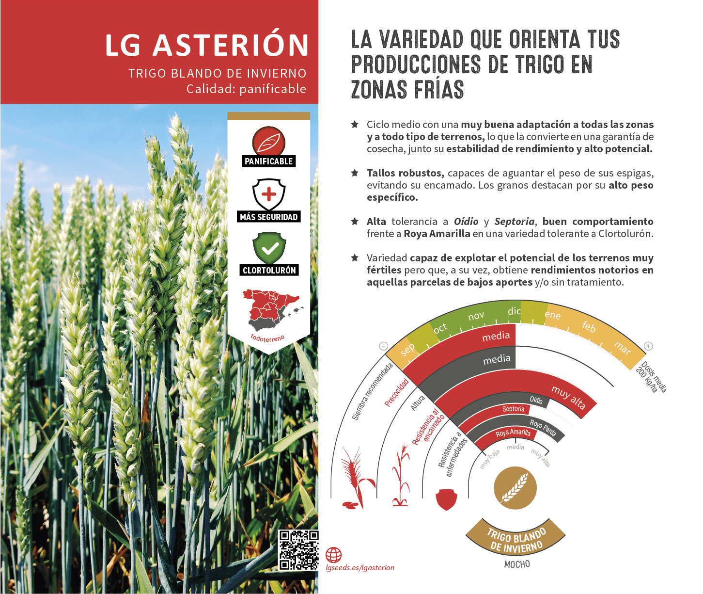 La variedades de cereal,cebada y triticale mejor adaptadas a las condicionoes agro climaticas de espa a.