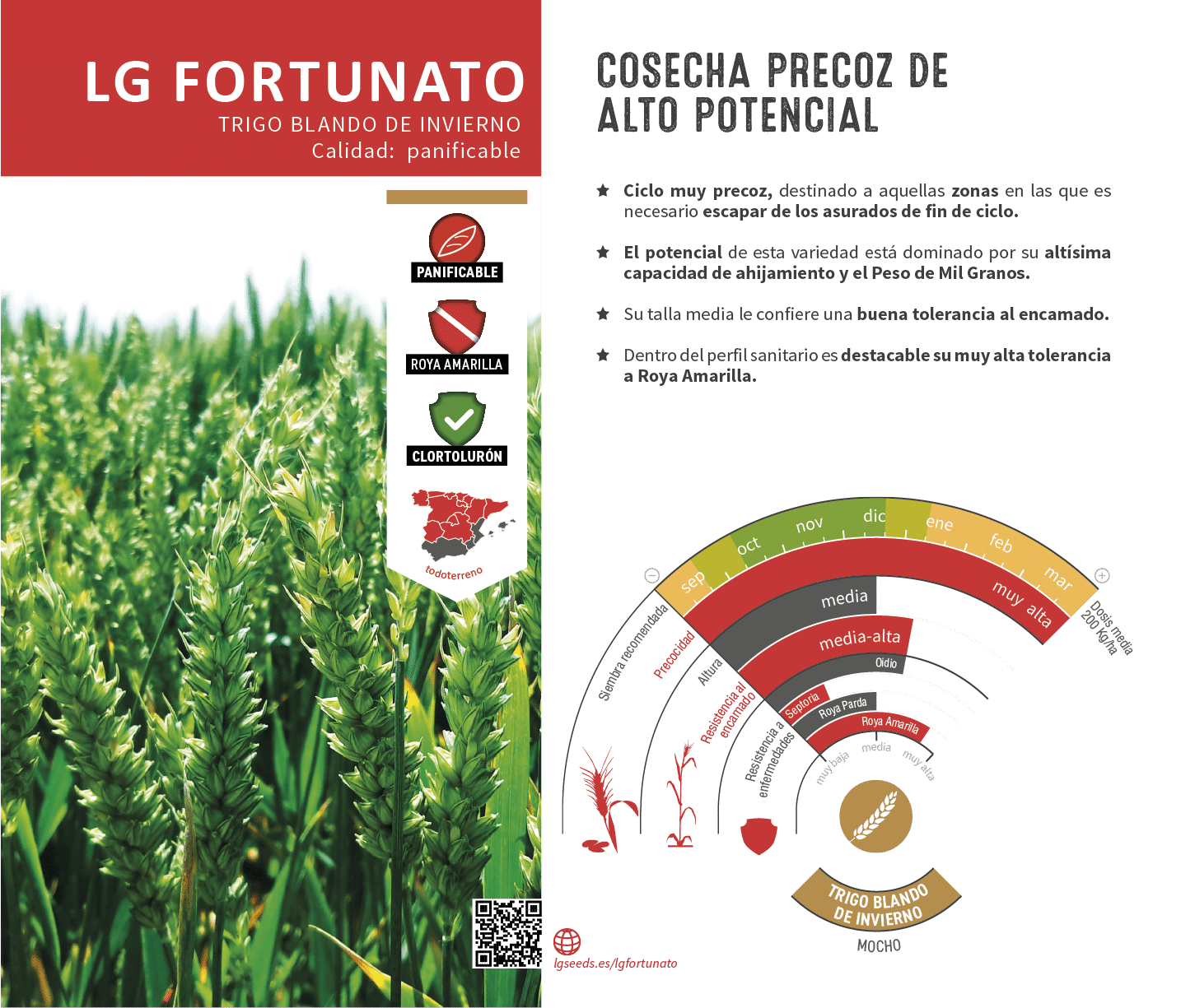 La variedades de cereal,cebada y triticale mejor adaptadas a las condicionoes agro climaticas de espa a.