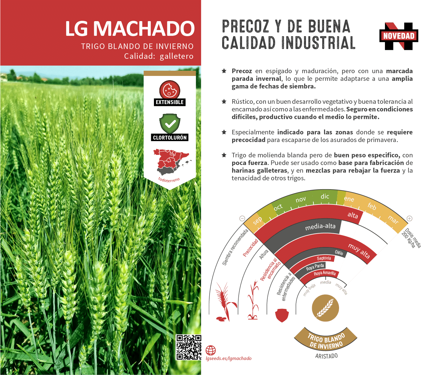 La variedades de cereal,cebada y triticale mejor adaptadas a las condicionoes agro climaticas de espa a.