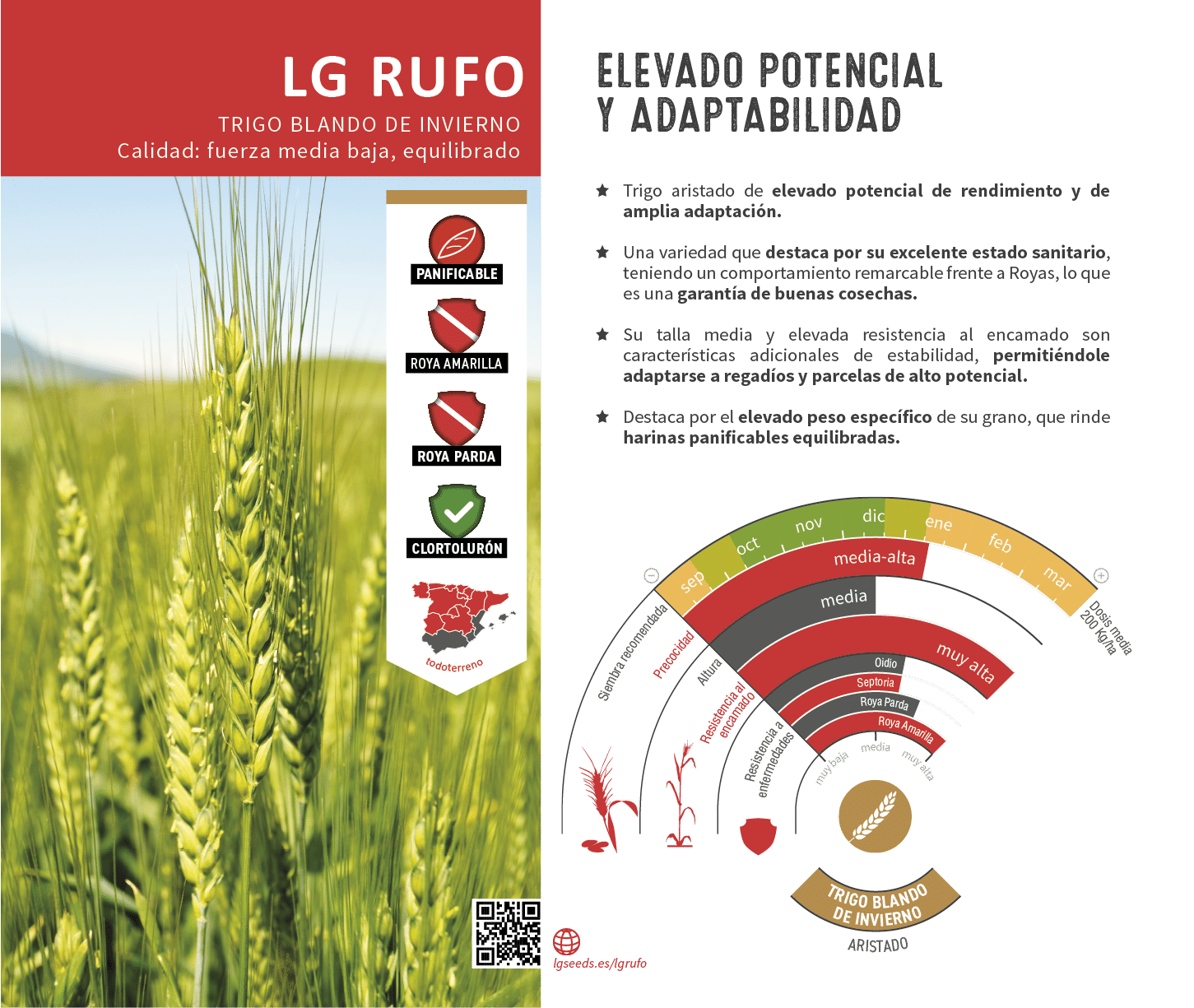 La variedades de cereal,cebada y triticale mejor adaptadas a las condicionoes agro climaticas de espa a.