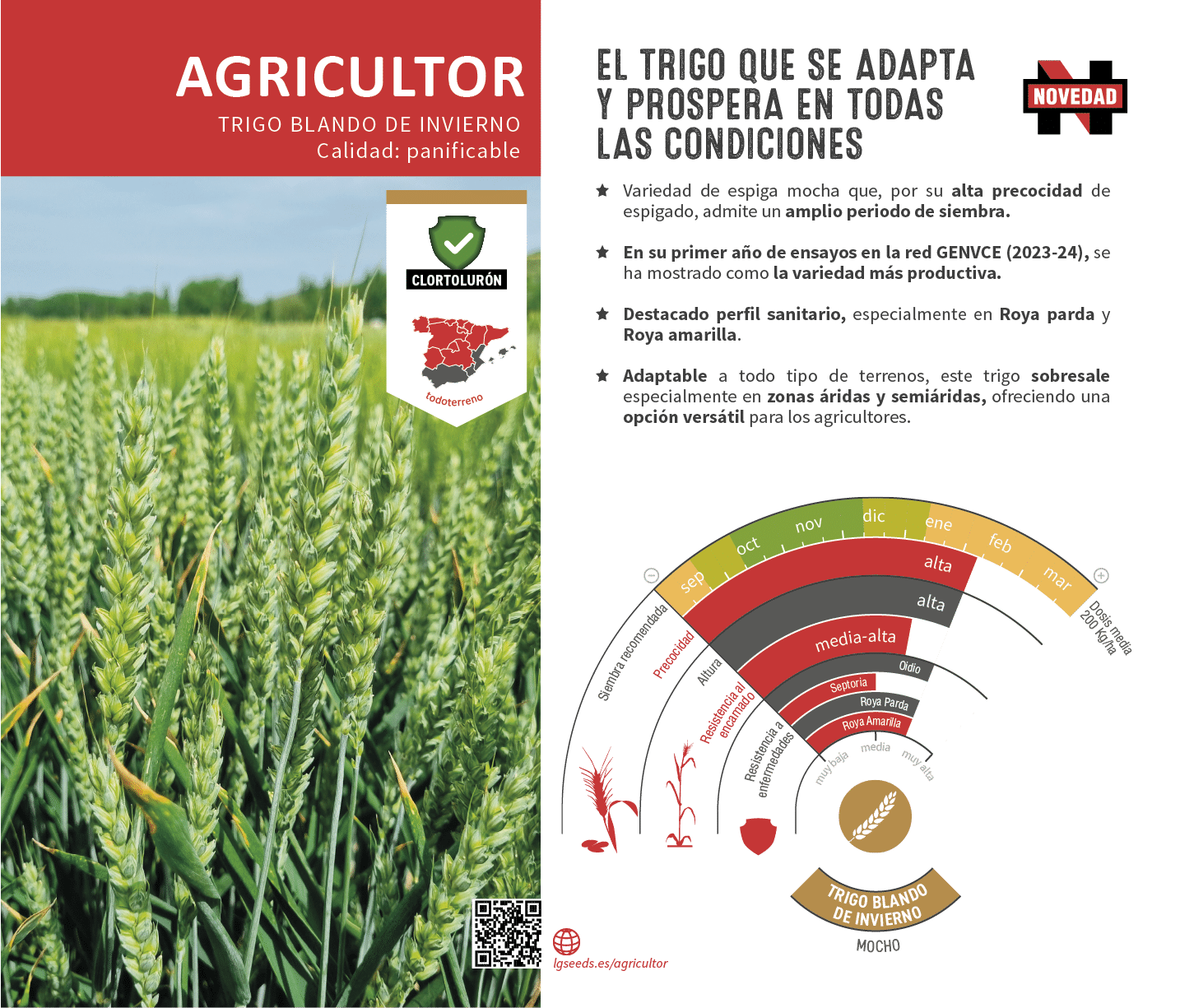 La variedades de cereal,cebada y triticale mejor adaptadas a las condicionoes agro climaticas de espa a.