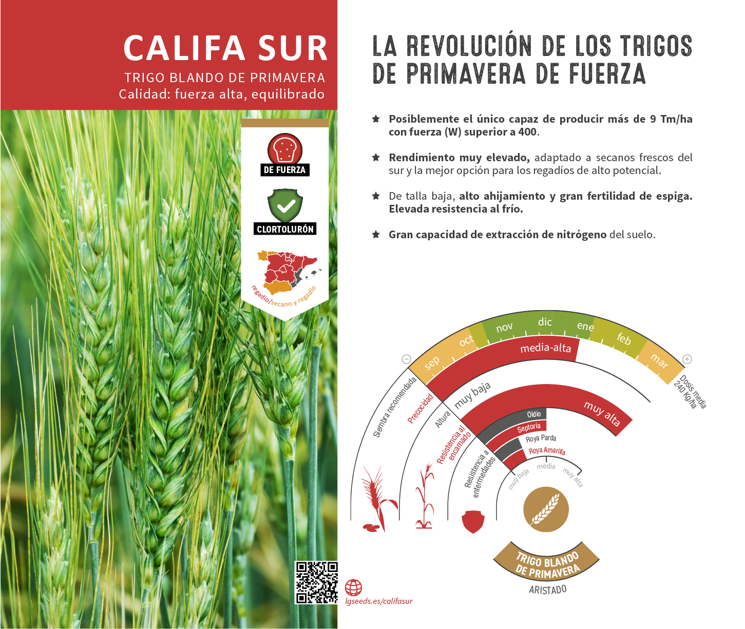 La variedades de cereal,cebada y triticale mejor adaptadas a las condicionoes agro climaticas de espa a.