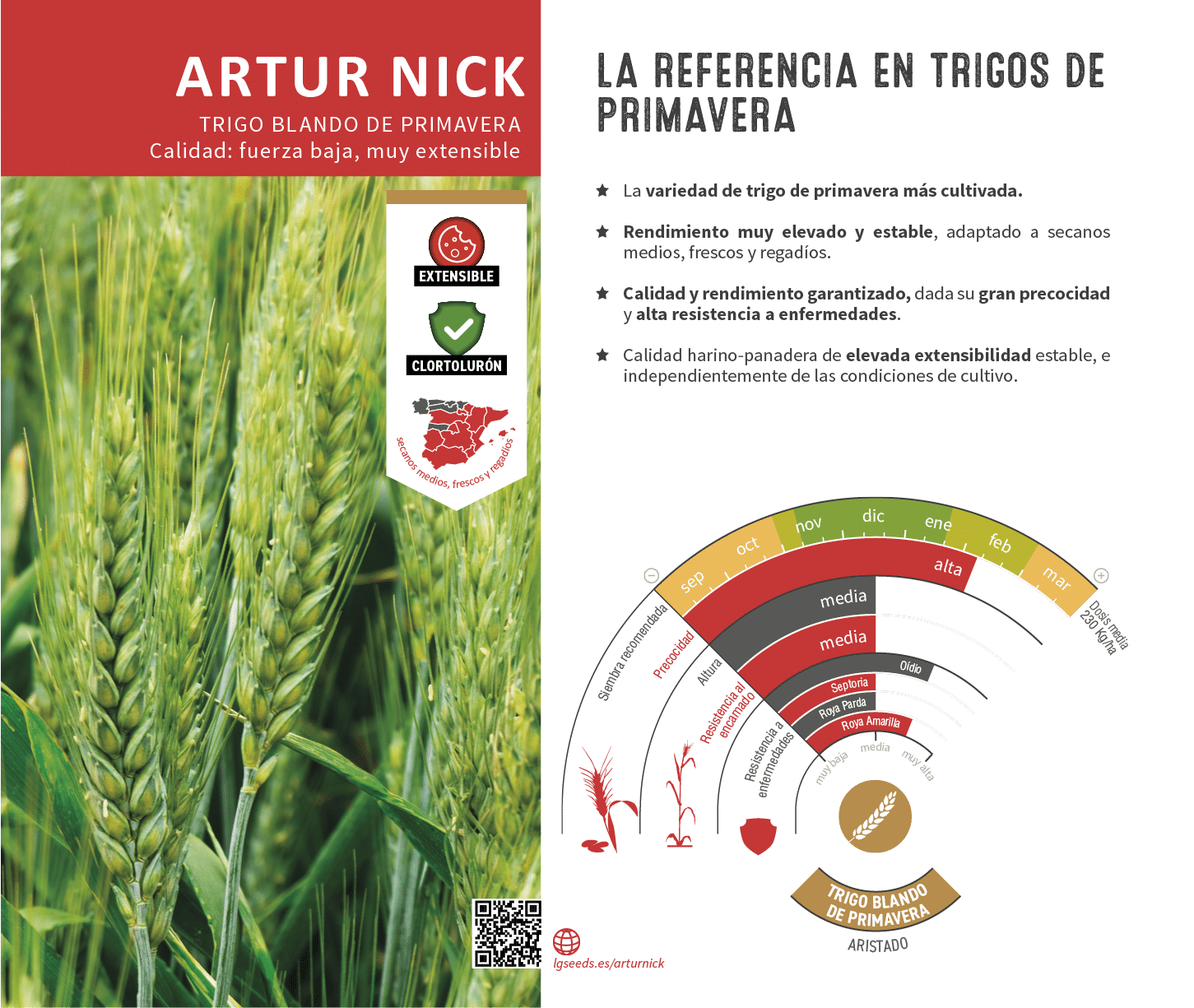La variedades de cereal,cebada y triticale mejor adaptadas a las condicionoes agro climaticas de espa a.