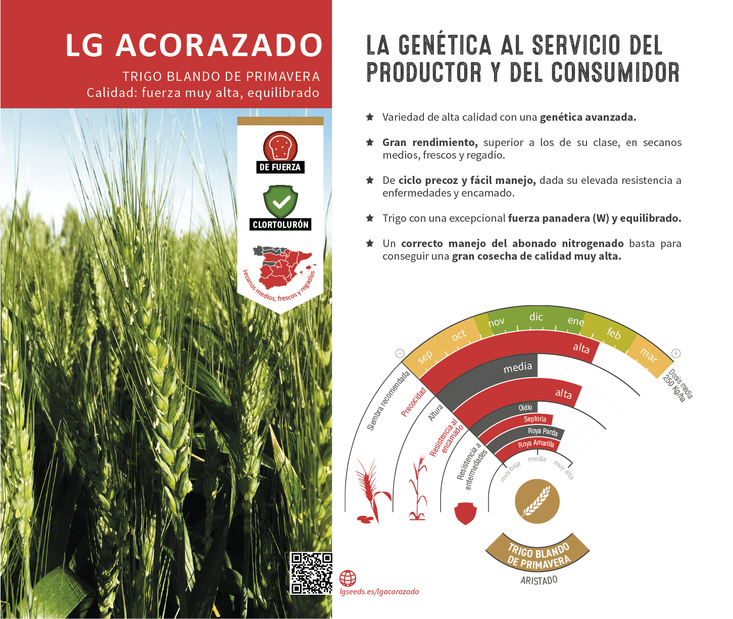 La variedades de cereal,cebada y triticale mejor adaptadas a las condicionoes agro climaticas de espa a.