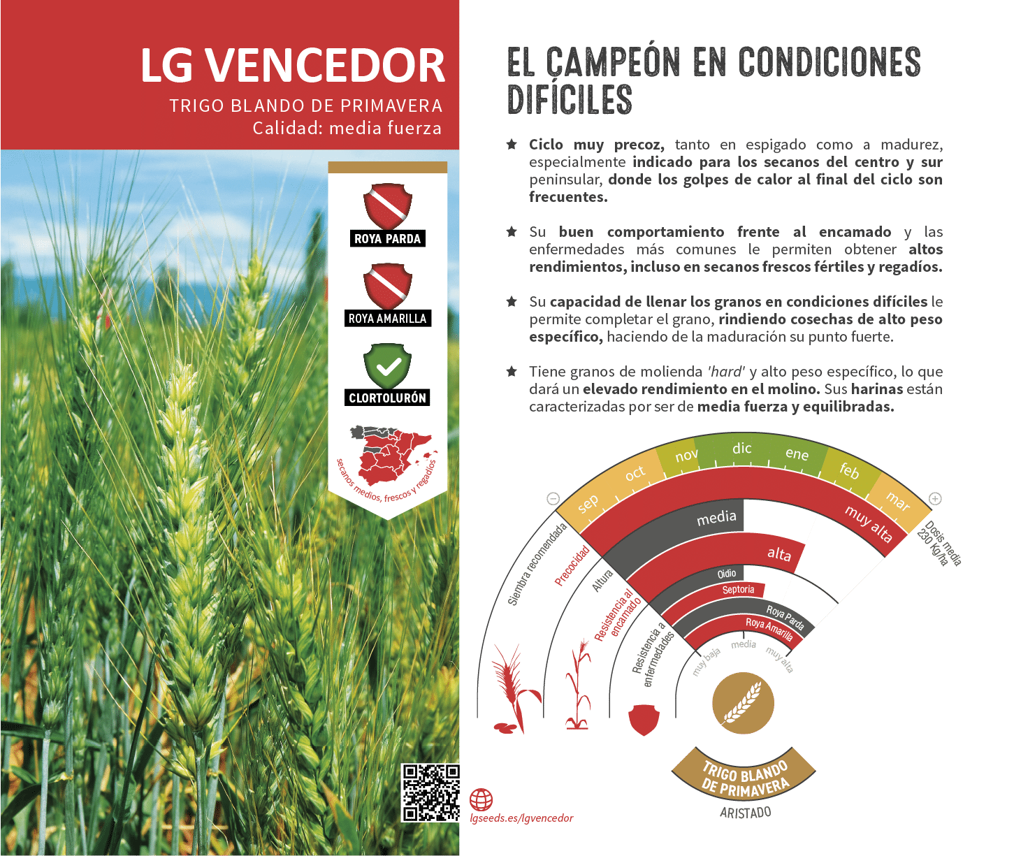 La variedades de cereal,cebada y triticale mejor adaptadas a las condicionoes agro climaticas de espa a.