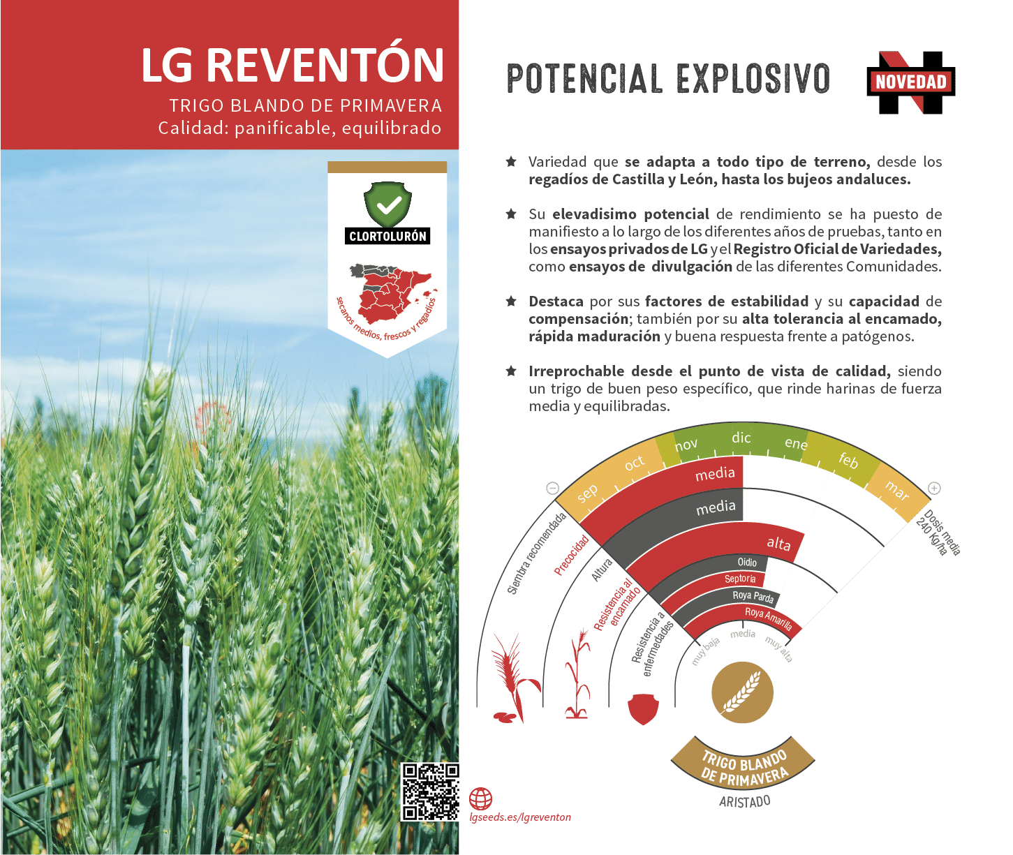 La variedades de cereal,cebada y triticale mejor adaptadas a las condicionoes agro climaticas de espa a.