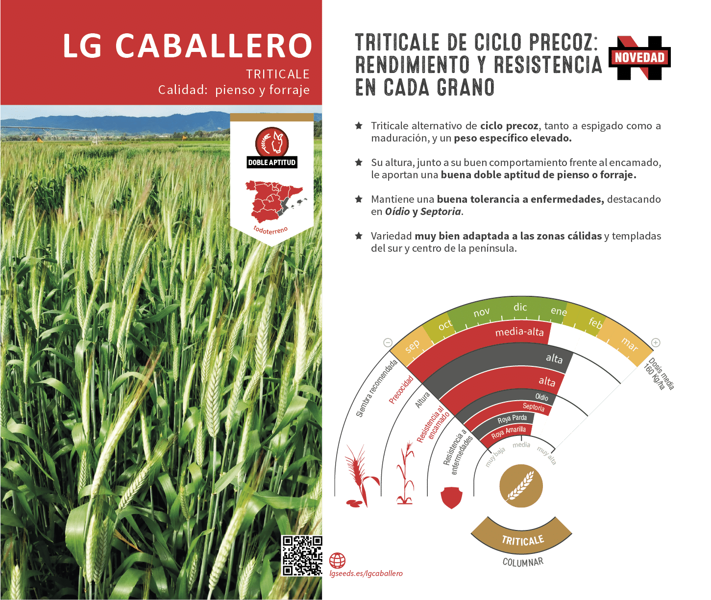 La variedades de cereal,cebada y triticale mejor adaptadas a las condicionoes agro climaticas de espa a.