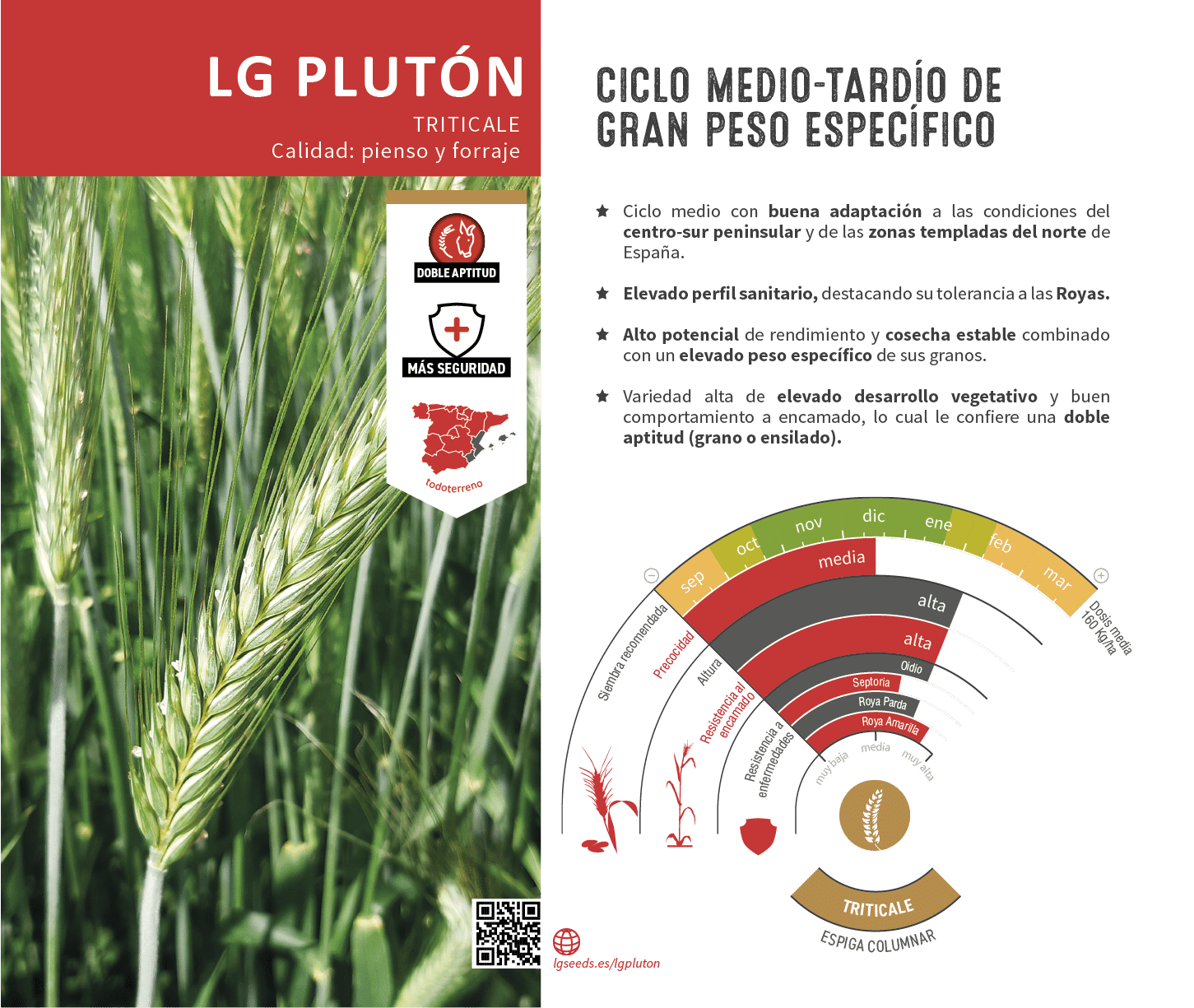 La variedades de cereal,cebada y triticale mejor adaptadas a las condicionoes agro climaticas de espa a.