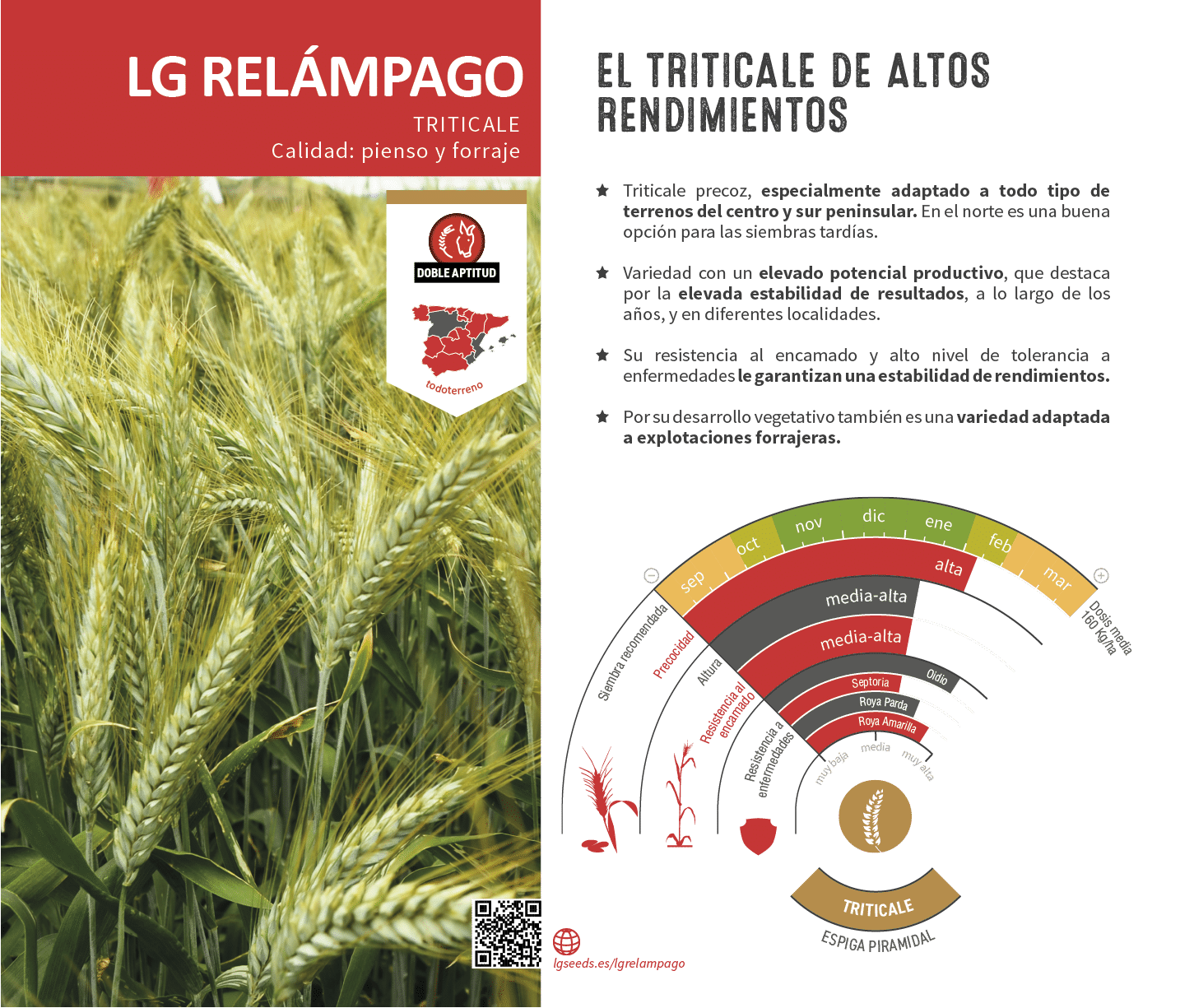 La variedades de cereal,cebada y triticale mejor adaptadas a las condicionoes agro climaticas de espa a.