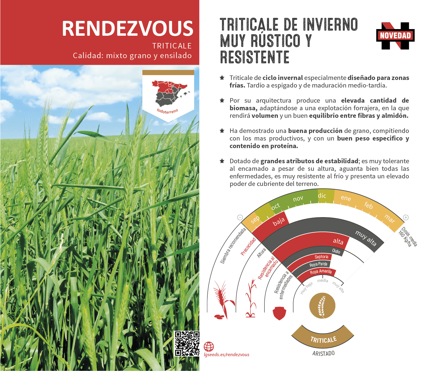 La variedades de cereal,cebada y triticale mejor adaptadas a las condicionoes agro climaticas de espa a.