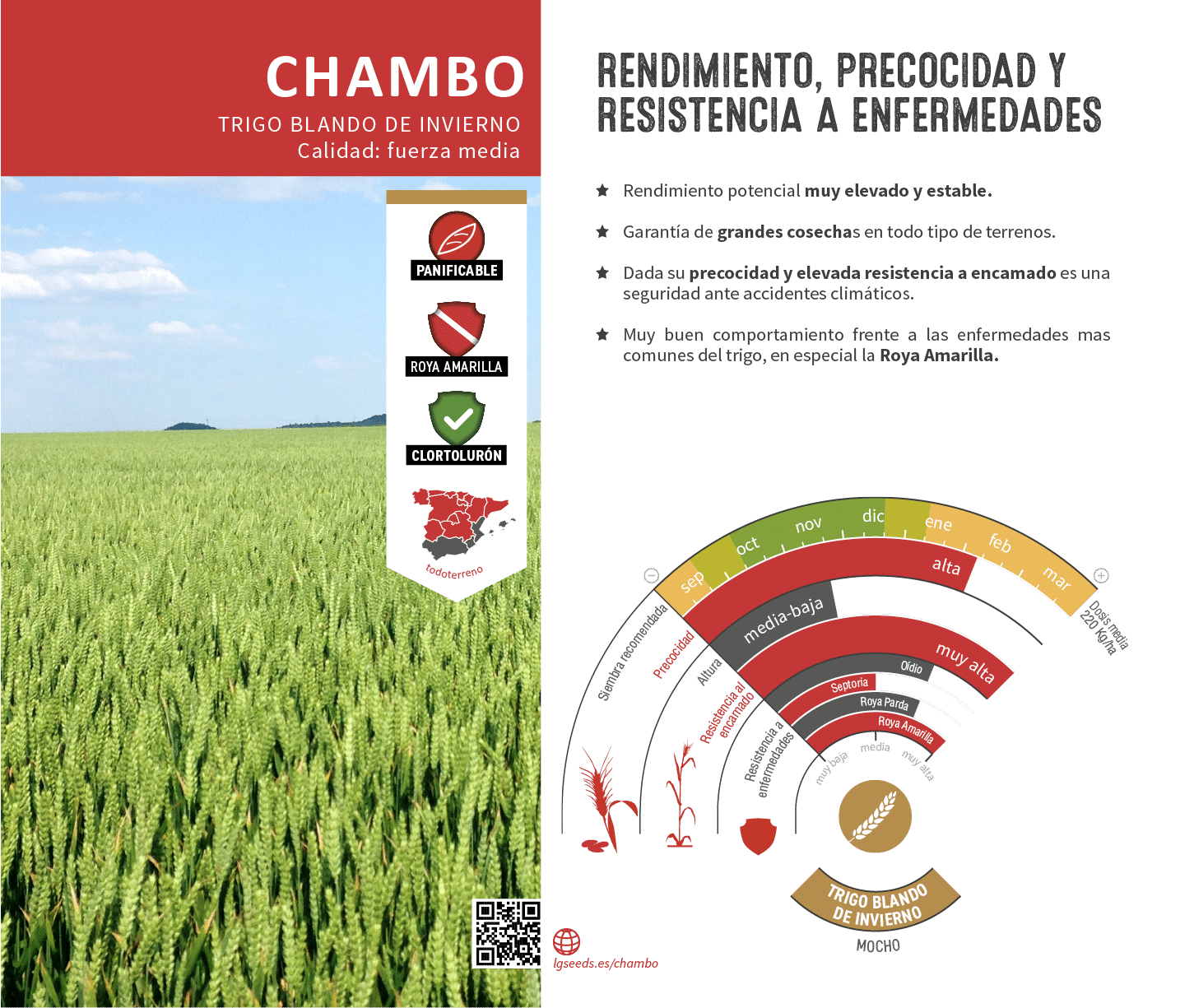 La variedades de cereal,cebada y triticale mejor adaptadas a las condicionoes agro climaticas de espa a.