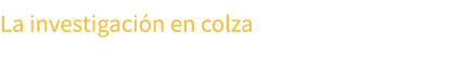 La investigaci n en colza