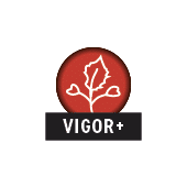 Icono vigor plus, este label identifica aquellas variedades de colza que tienen en su gen tica un vigor de nascencia superior