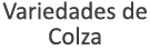 Variedades de Colza