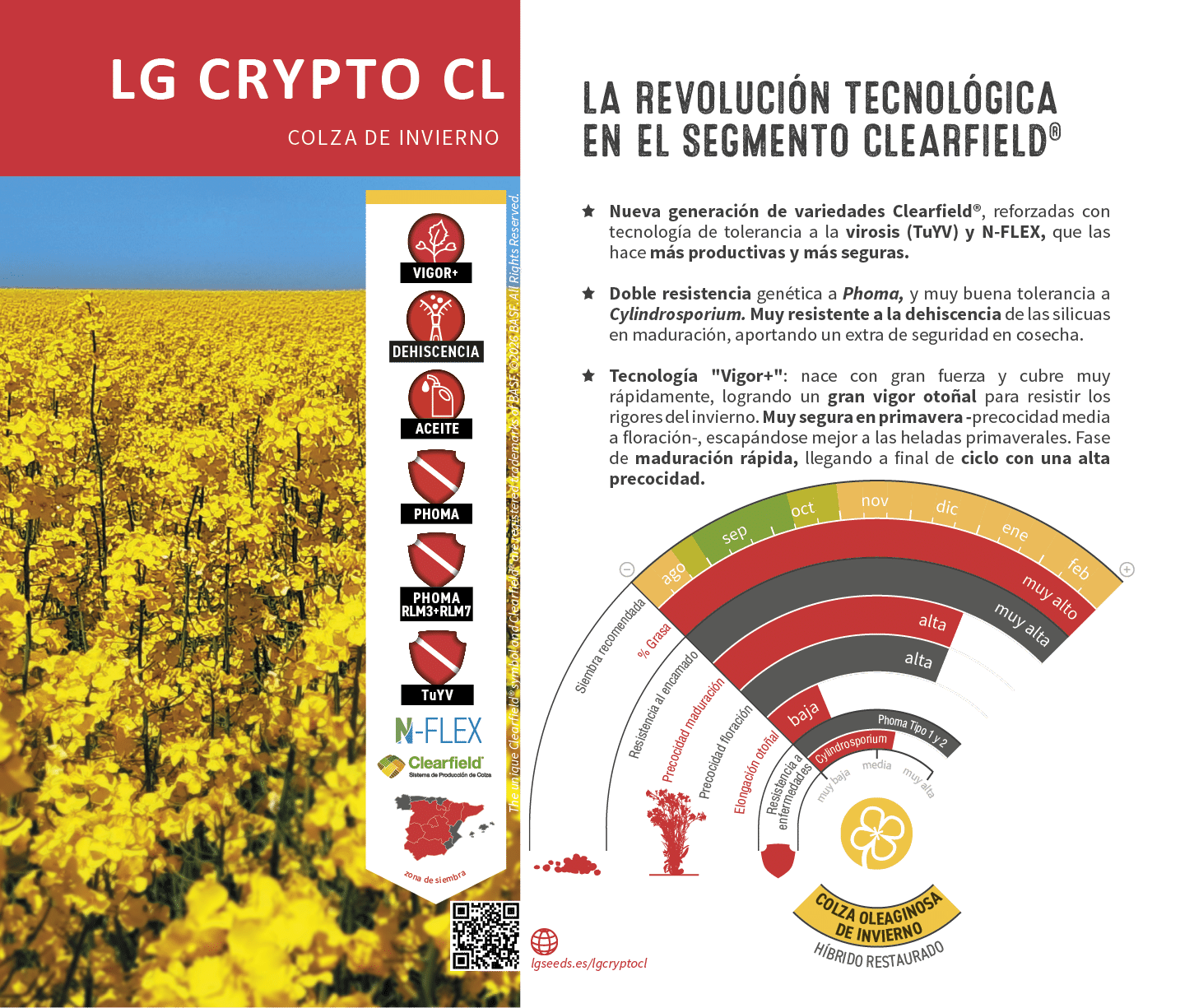 La semilla de colza m s innovadora, con gen tica de vanguard a, el cat logo de LG seeds ofrece multitud de opciones para las diferentes zonas agron micas.