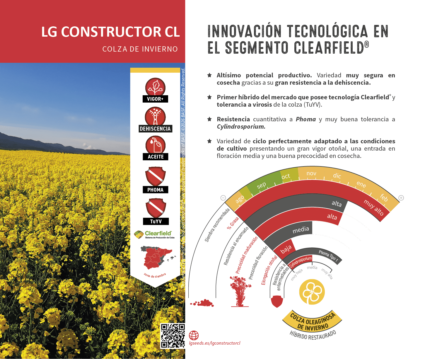 La semilla de colza m s innovadora, con gen tica de vanguard a, el cat logo de LG seeds ofrece multitud de opciones para las diferentes zonas agron micas.