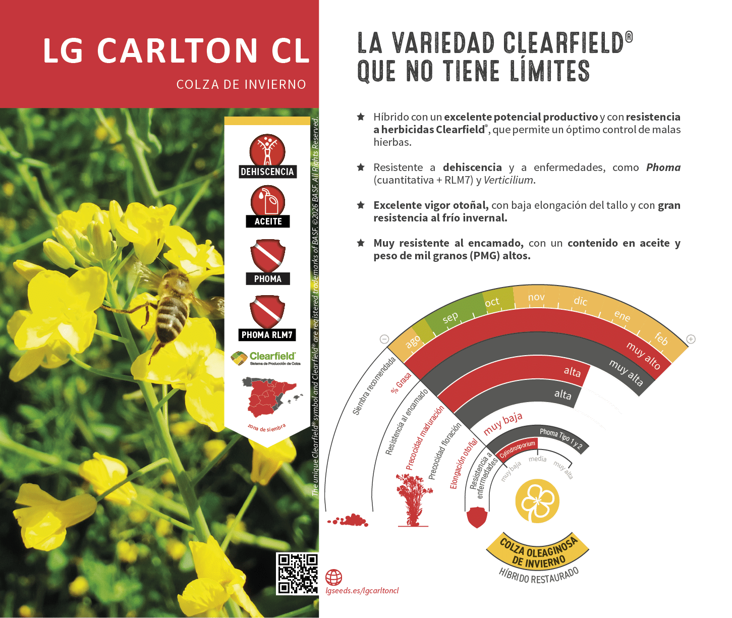 La semilla de colza m s innovadora, con gen tica de vanguard a, el cat logo de LG seeds ofrece multitud de opciones para las diferentes zonas agron micas.