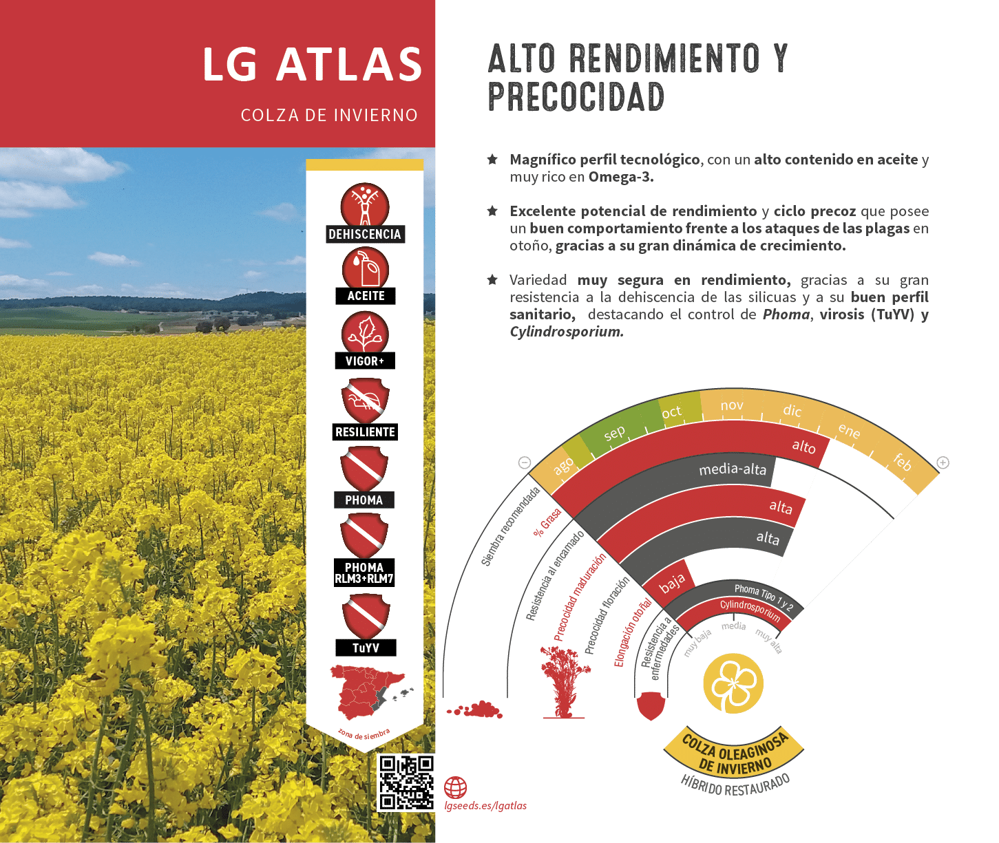 La semilla de colza m s innovadora, con gen tica de vanguard a, el cat logo de LG seeds ofrece multitud de opciones para las diferentes zonas agron micas.