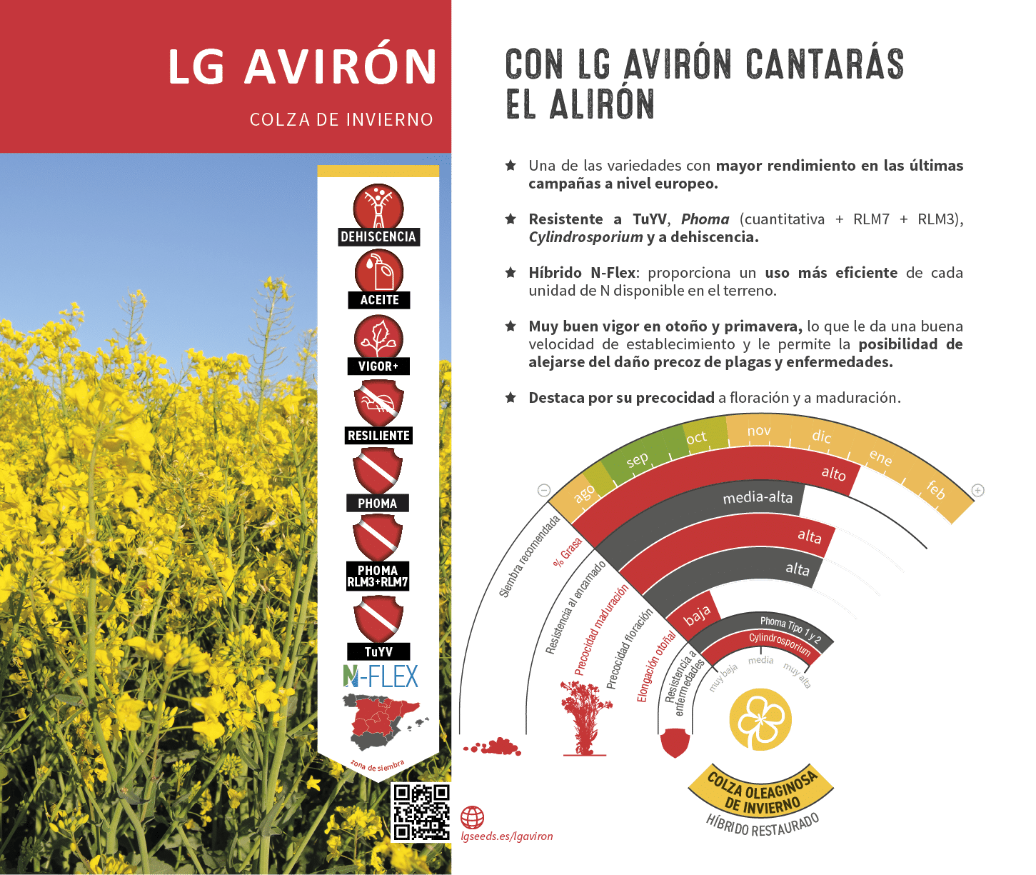 La semilla de colza m s innovadora, con gen tica de vanguard a, el cat logo de LG seeds ofrece multitud de opciones para las diferentes zonas agron micas.