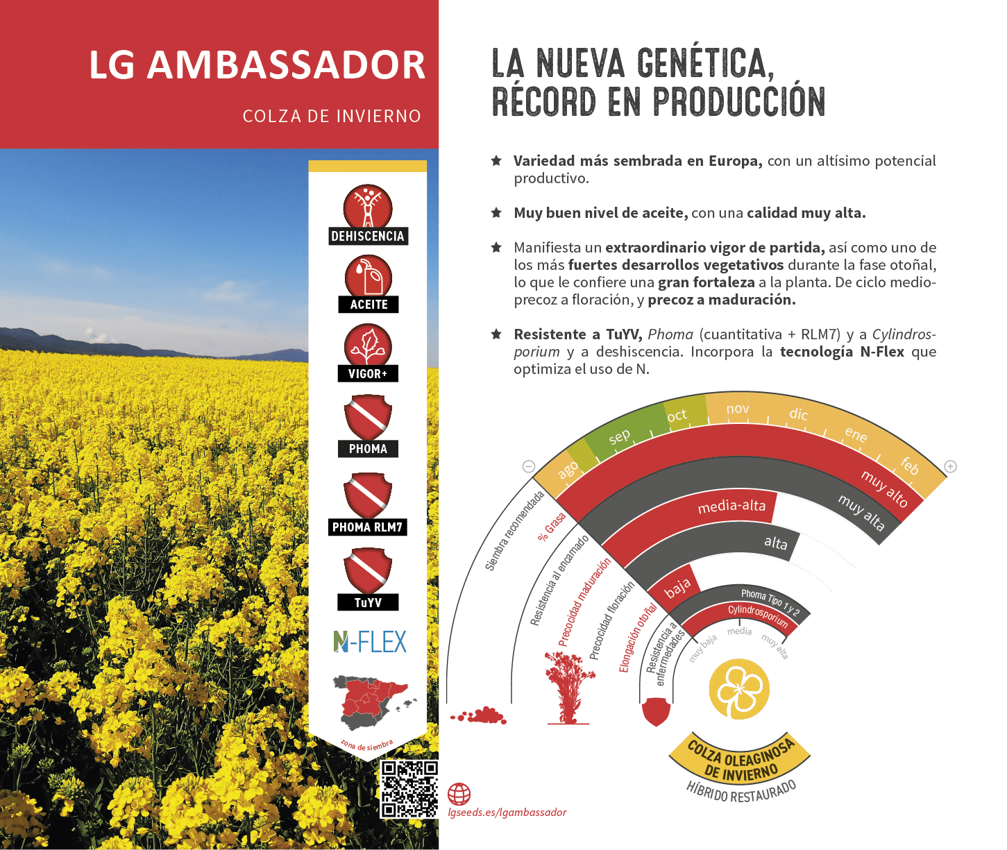 La semilla de colza m s innovadora, con gen tica de vanguard a, el cat logo de LG seeds ofrece multitud de opciones para las diferentes zonas agron micas.