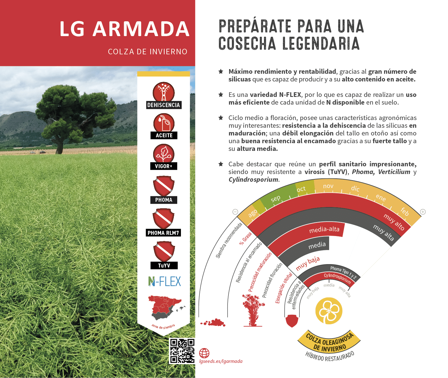 La semilla de colza m s innovadora, con gen tica de vanguard a, el cat logo de LG seeds ofrece multitud de opciones para las diferentes zonas agron micas.