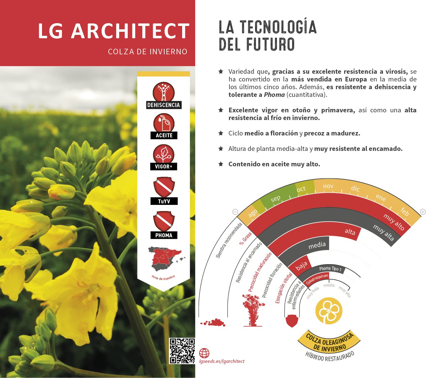 La semilla de colza m s innovadora, con gen tica de vanguard a, el cat logo de LG seeds ofrece multitud de opciones para las diferentes zonas agron micas.