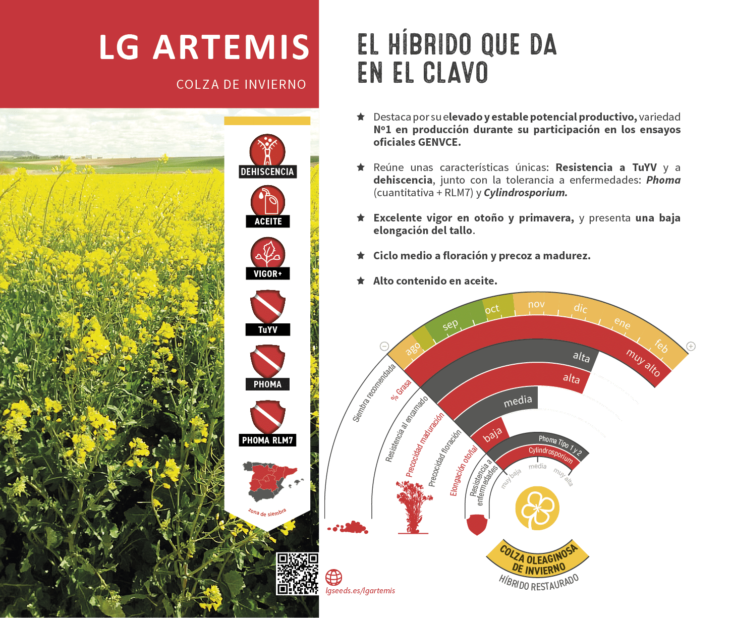 La semilla de colza m s innovadora, con gen tica de vanguard a, el cat logo de LG seeds ofrece multitud de opciones para las diferentes zonas agron micas.