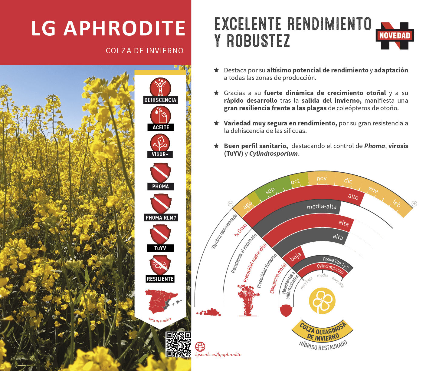 La semilla de colza m s innovadora, con gen tica de vanguard a, el cat logo de LG seeds ofrece multitud de opciones para las diferentes zonas agron micas.