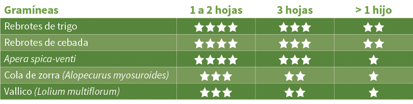 Gram neas,1 a 2 hojas,3 hojas, 1 hijo,Rebrotes de trigo,aaaa,aaa,aa,Rebrotes de cebada,aaaa,aaa,aa,Apera spica venti...