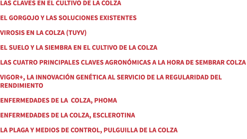 LAS CLAVES EN EL CULTIVO DE LA COLZA EL GORGOJO Y LAS SOLUCIONES EXISTENTES VIROSIS EN LA COLZA (TUYV) EL SUELO Y LA ...
