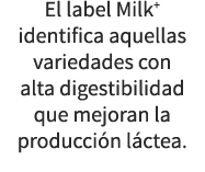 El label Milk+ identifica aquellas variedades con alta digestibilidad que mejoran la producci n l ctea.